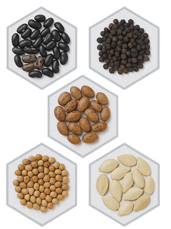Edibles Oil Wholesale Export
