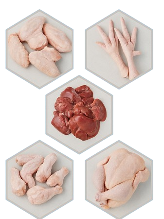 Frozen Chicken Wholesale